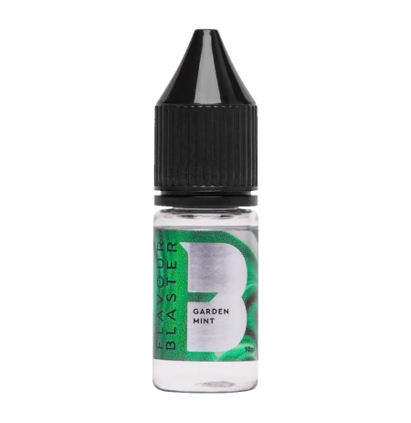AROMA Máta 10 ml pro Flavour Blaster