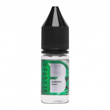 AROMA Máta 10 ml pro Flavour Blaster AROMA Máta 10 ml pro Flavour Blaster