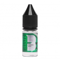 AROMA Máta 10 ml pro Flavour Blaster
